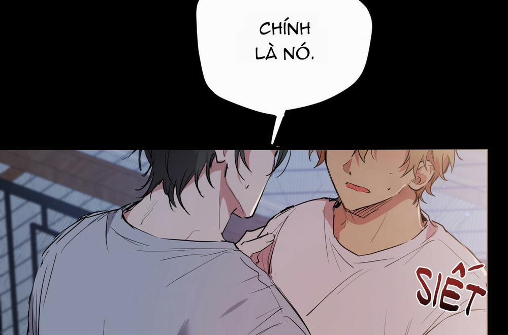 Những Chú Thỏ Của Hapypy 19 trang 167