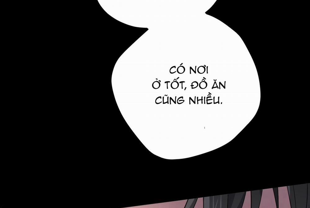 Những Chú Thỏ Của Hapypy 19 trang 179