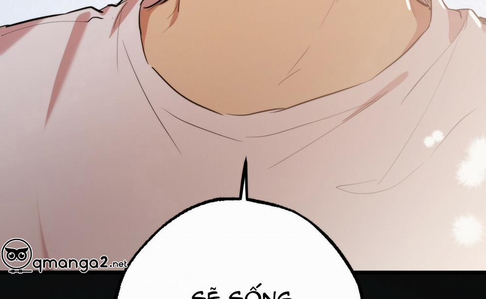 Những Chú Thỏ Của Hapypy 19 trang 227