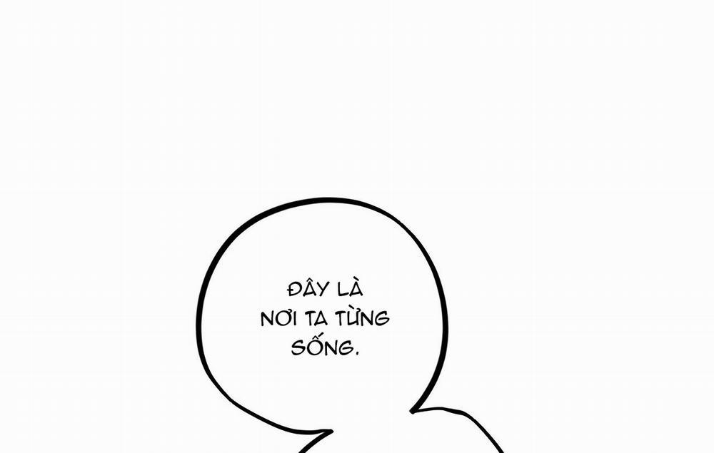 Những Chú Thỏ Của Hapypy 19 trang 240