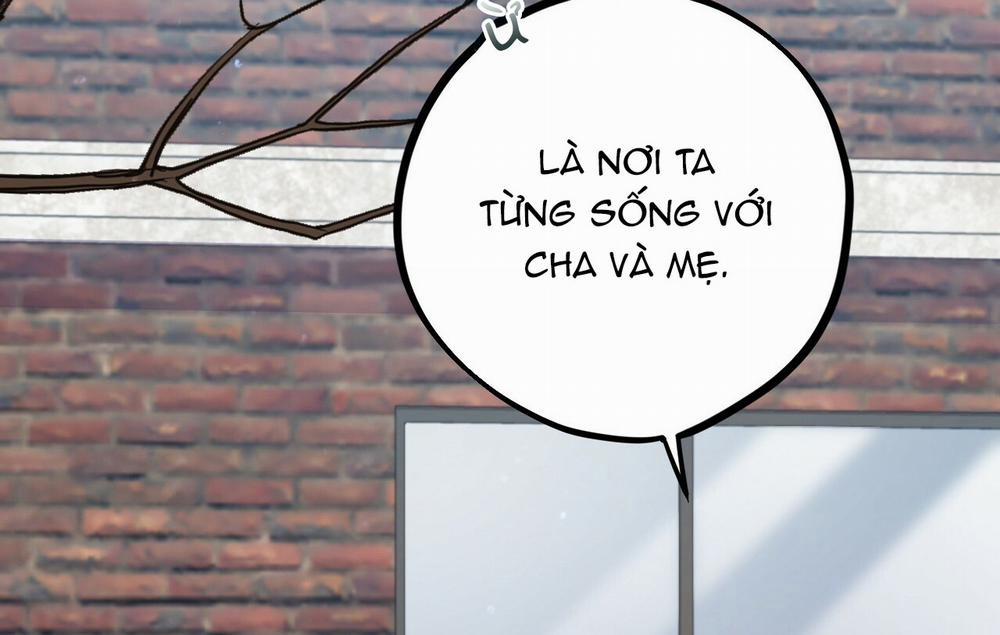 Những Chú Thỏ Của Hapypy 19 trang 245