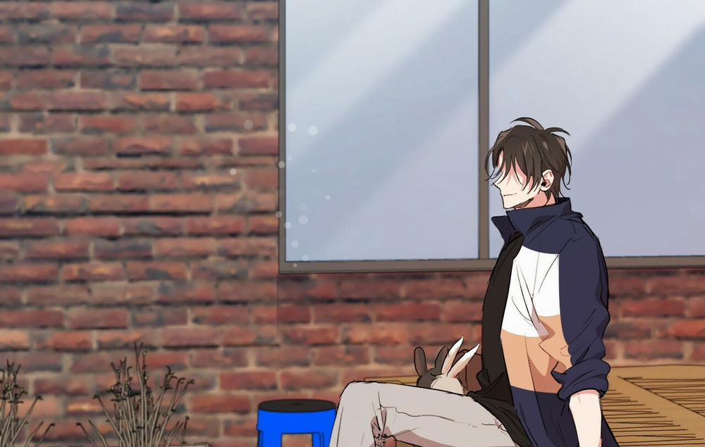 Những Chú Thỏ Của Hapypy 19 trang 246