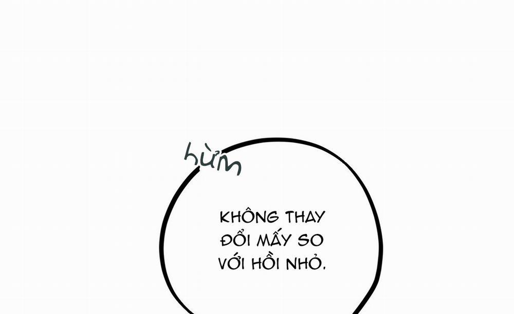 Những Chú Thỏ Của Hapypy 19 trang 248