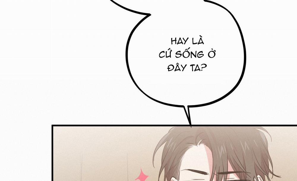 Những Chú Thỏ Của Hapypy 19 trang 249