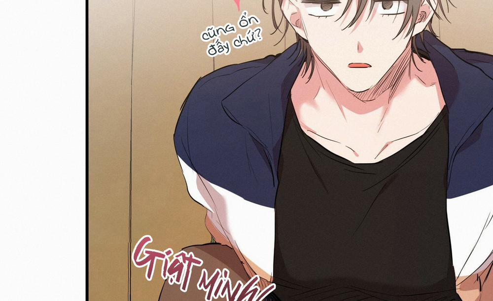 Những Chú Thỏ Của Hapypy 19 trang 250