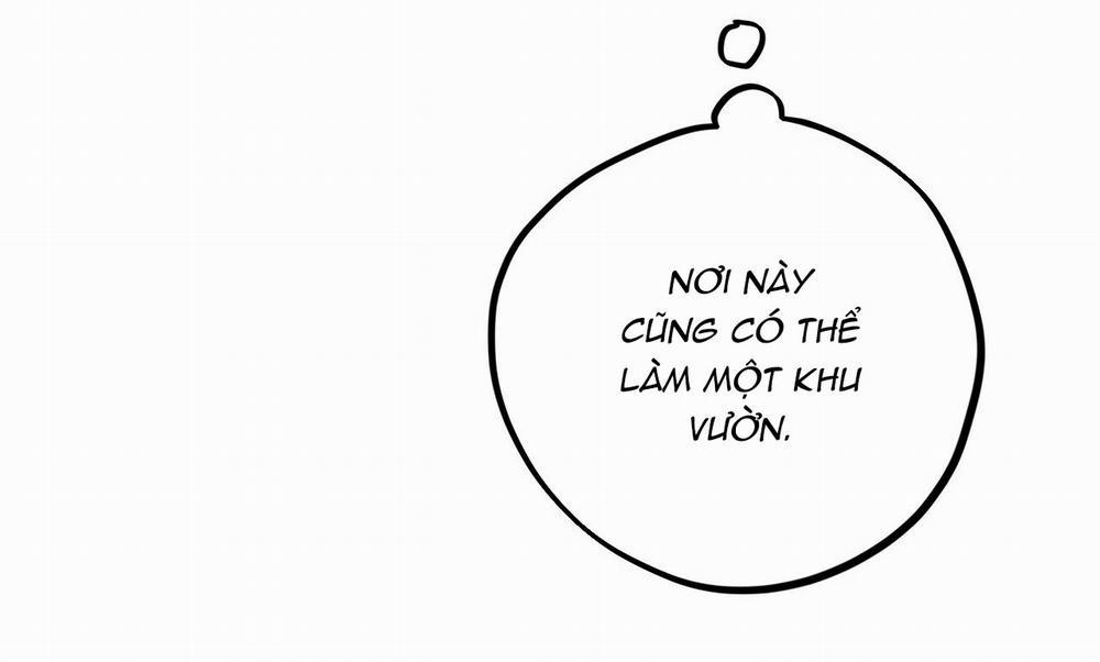 Những Chú Thỏ Của Hapypy 19 trang 261