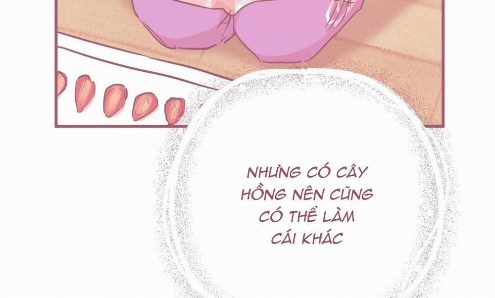 Những Chú Thỏ Của Hapypy 19 trang 266