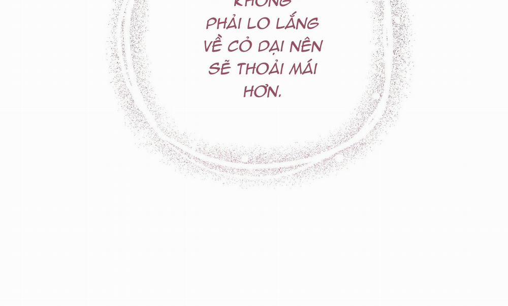 Những Chú Thỏ Của Hapypy 19 trang 270