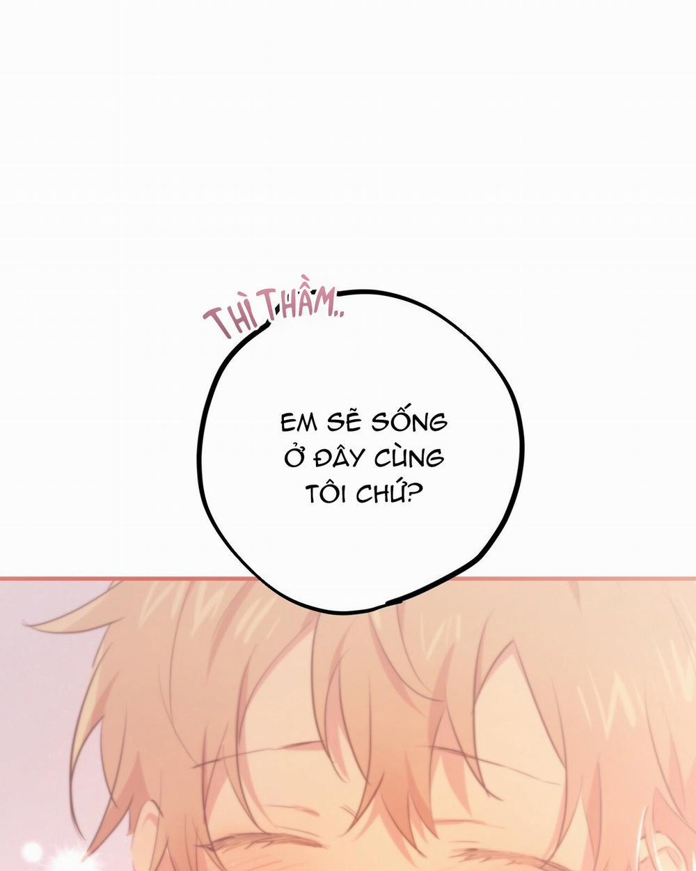 Những Chú Thỏ Của Hapypy 19 trang 274