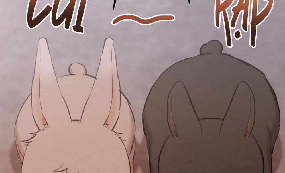 Những Chú Thỏ Của Hapypy 19 trang 77