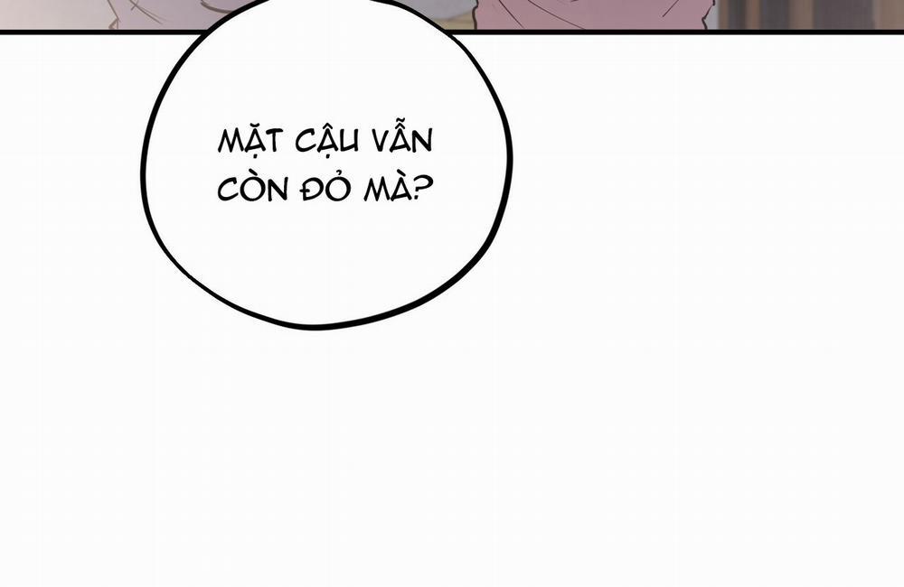 Những Chú Thỏ Của Hapypy 19 trang 9