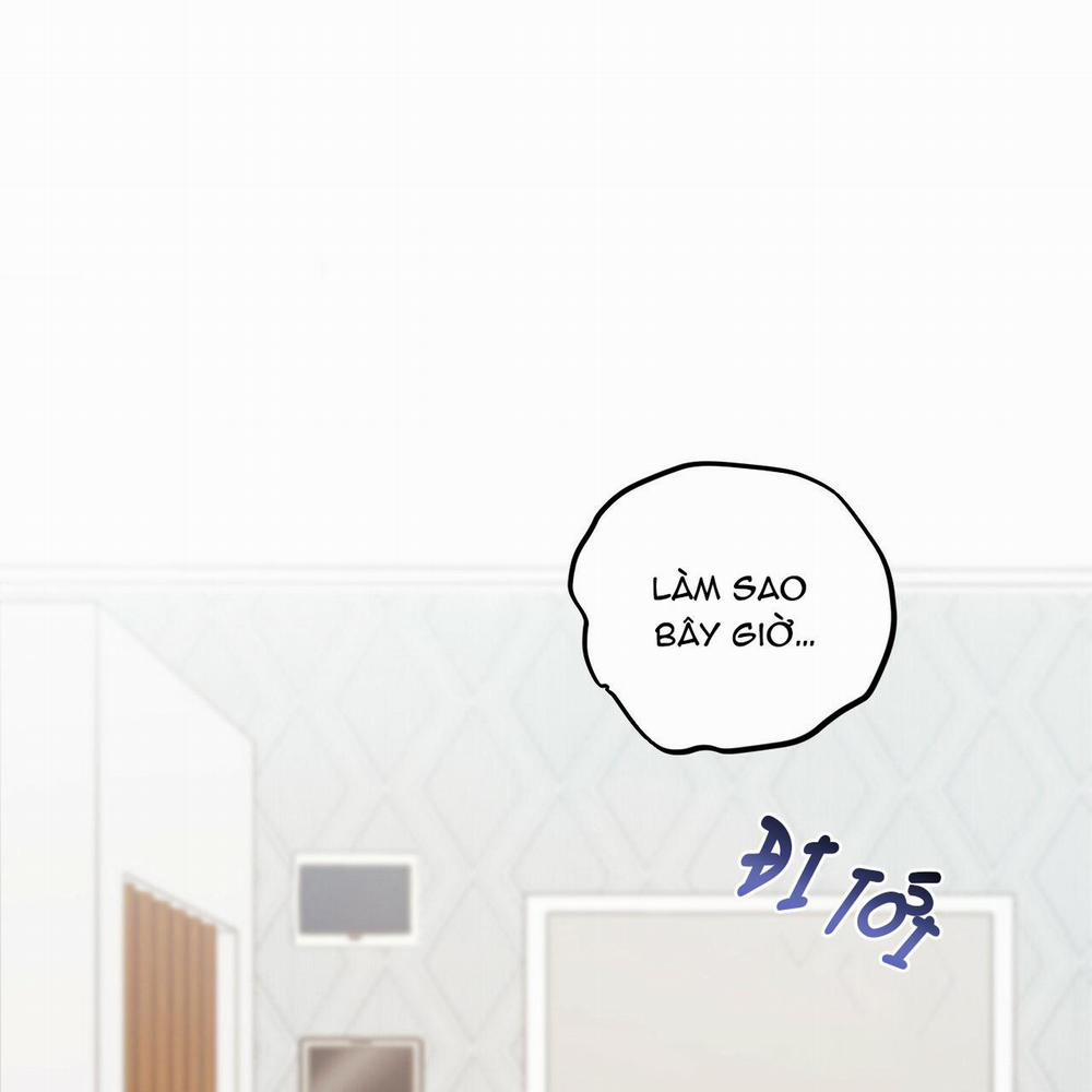 Những Chú Thỏ Của Hapypy 2 trang 0