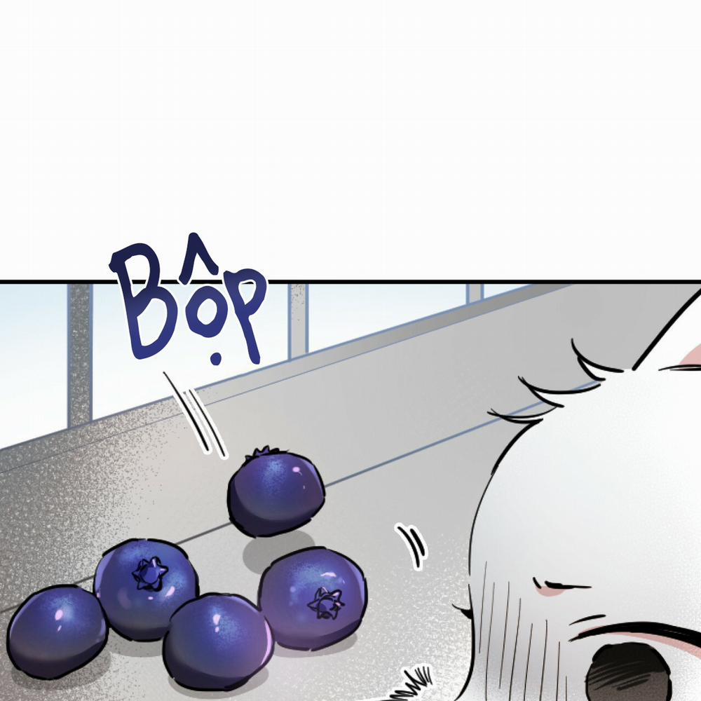 Những Chú Thỏ Của Hapypy 2 trang 115