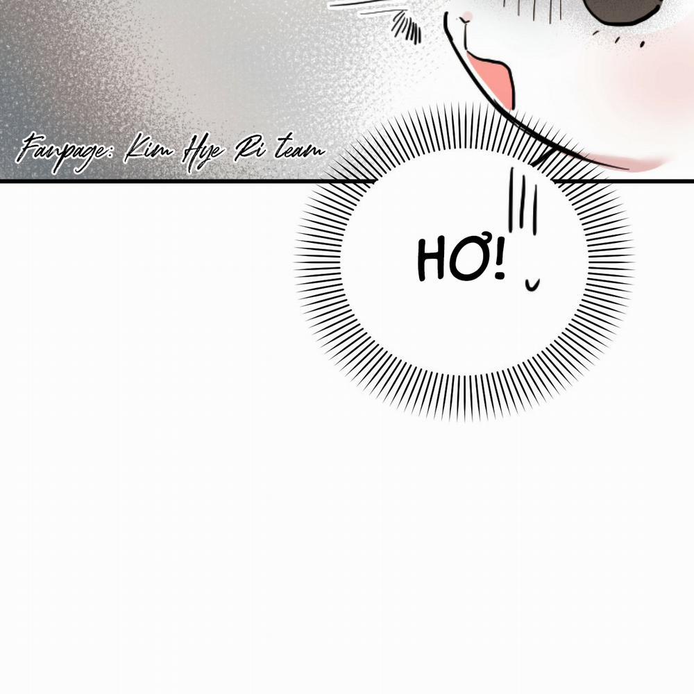 Những Chú Thỏ Của Hapypy 2 trang 116