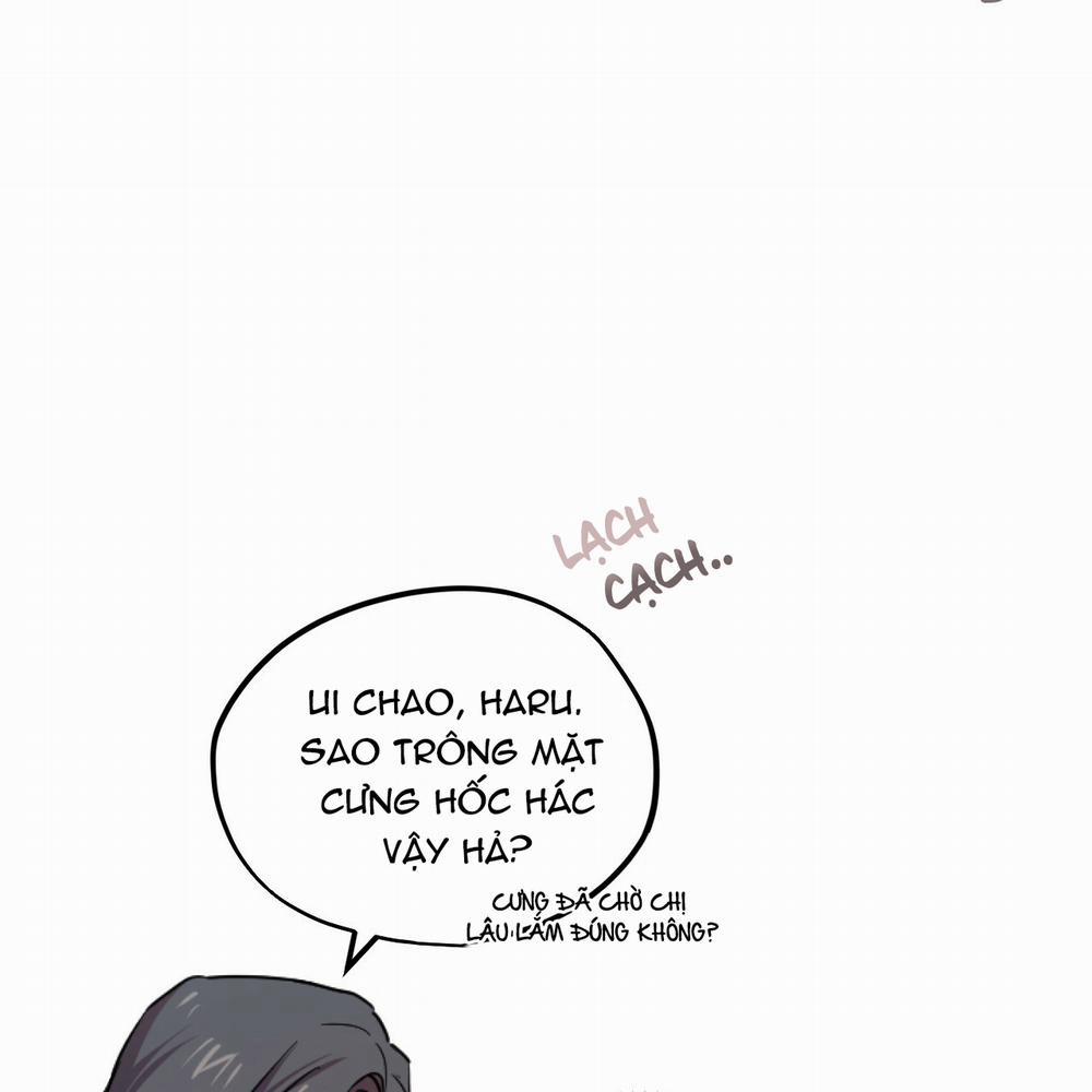 Những Chú Thỏ Của Hapypy 2 trang 12