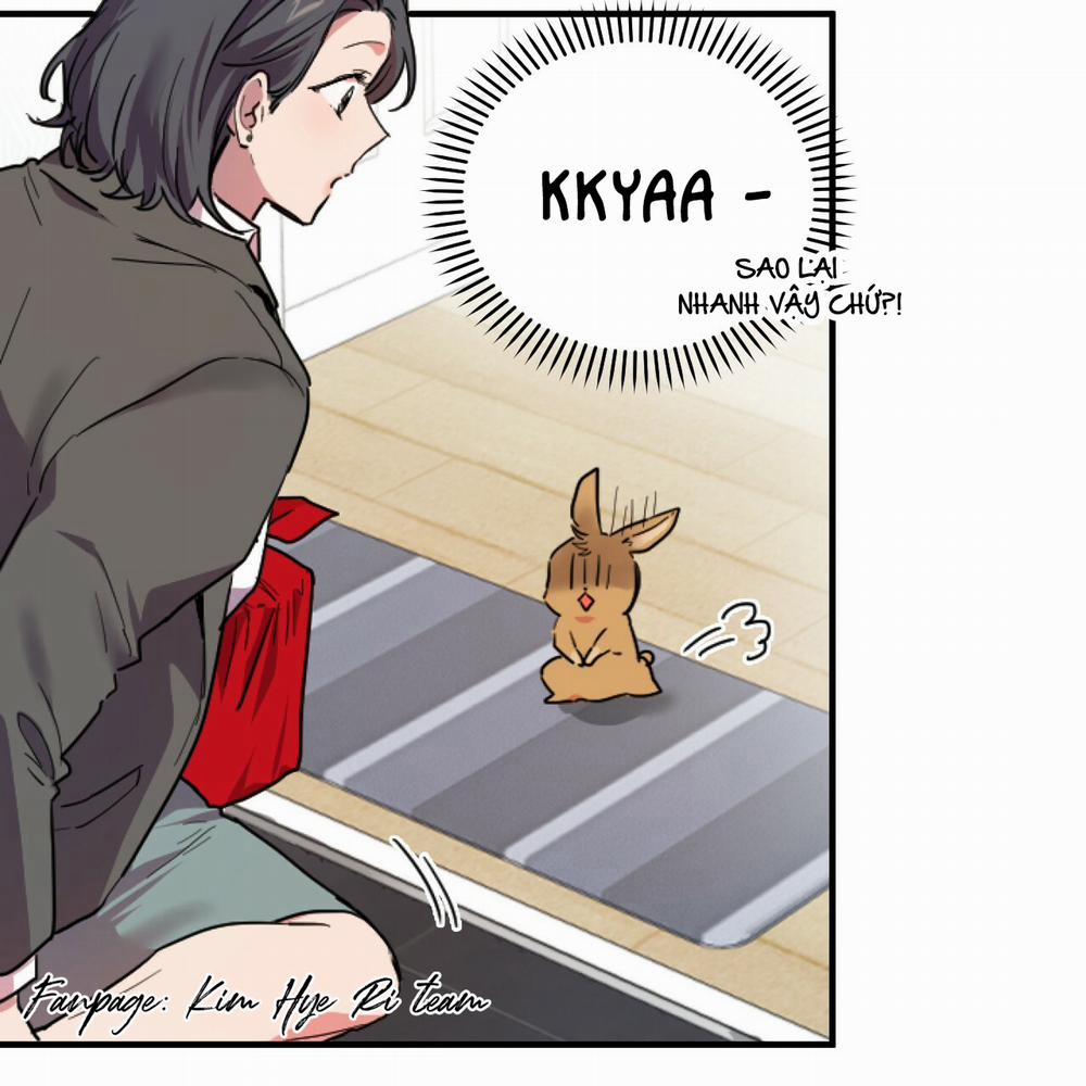 Những Chú Thỏ Của Hapypy 2 trang 13