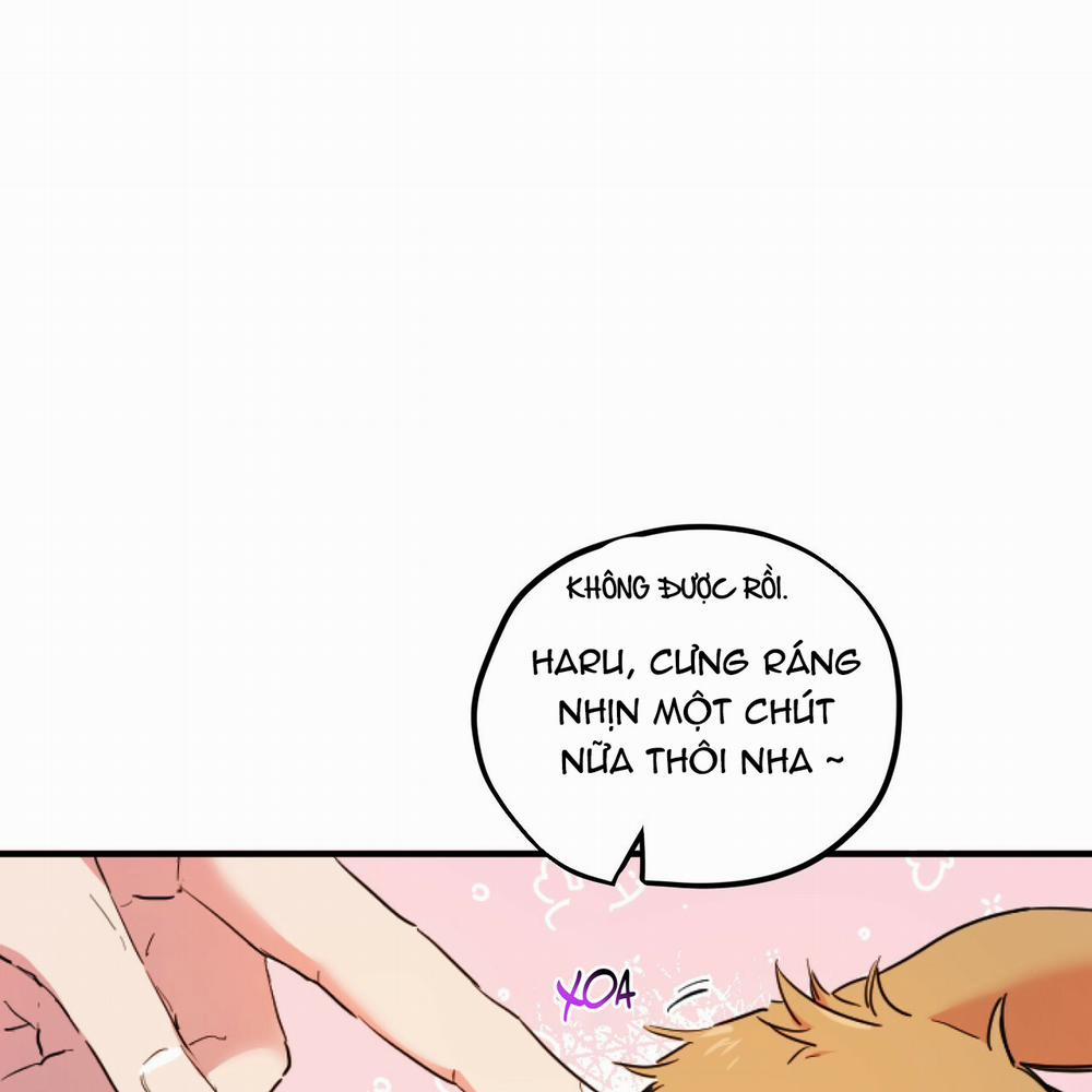 Những Chú Thỏ Của Hapypy 2 trang 14