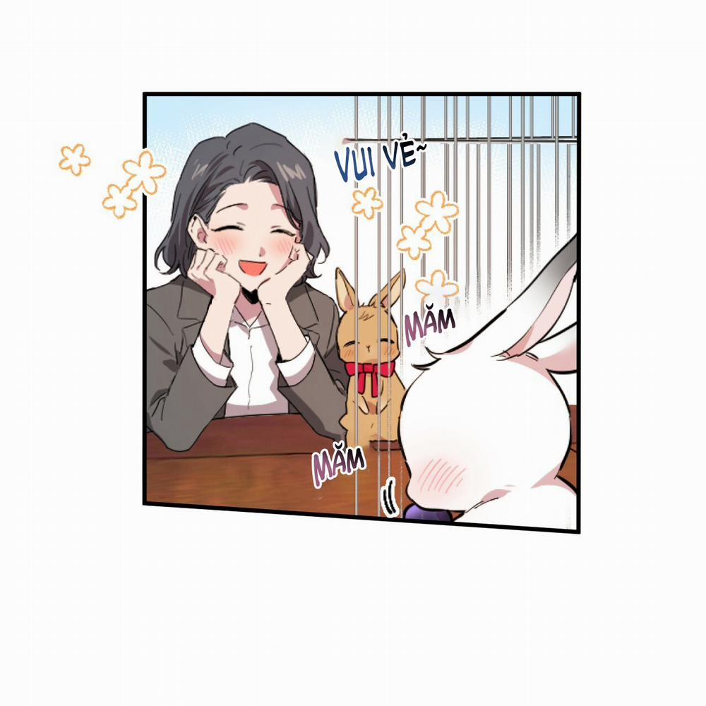 Những Chú Thỏ Của Hapypy 2 trang 148