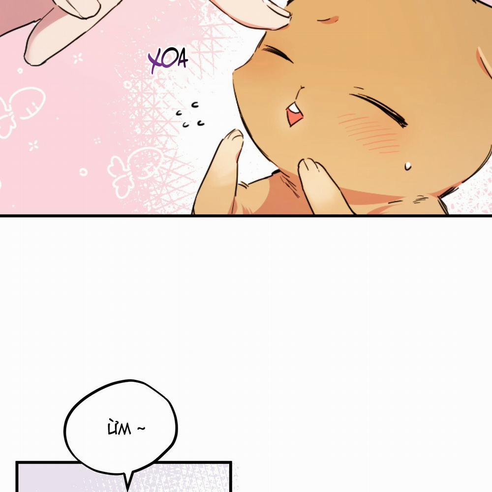 Những Chú Thỏ Của Hapypy 2 trang 15