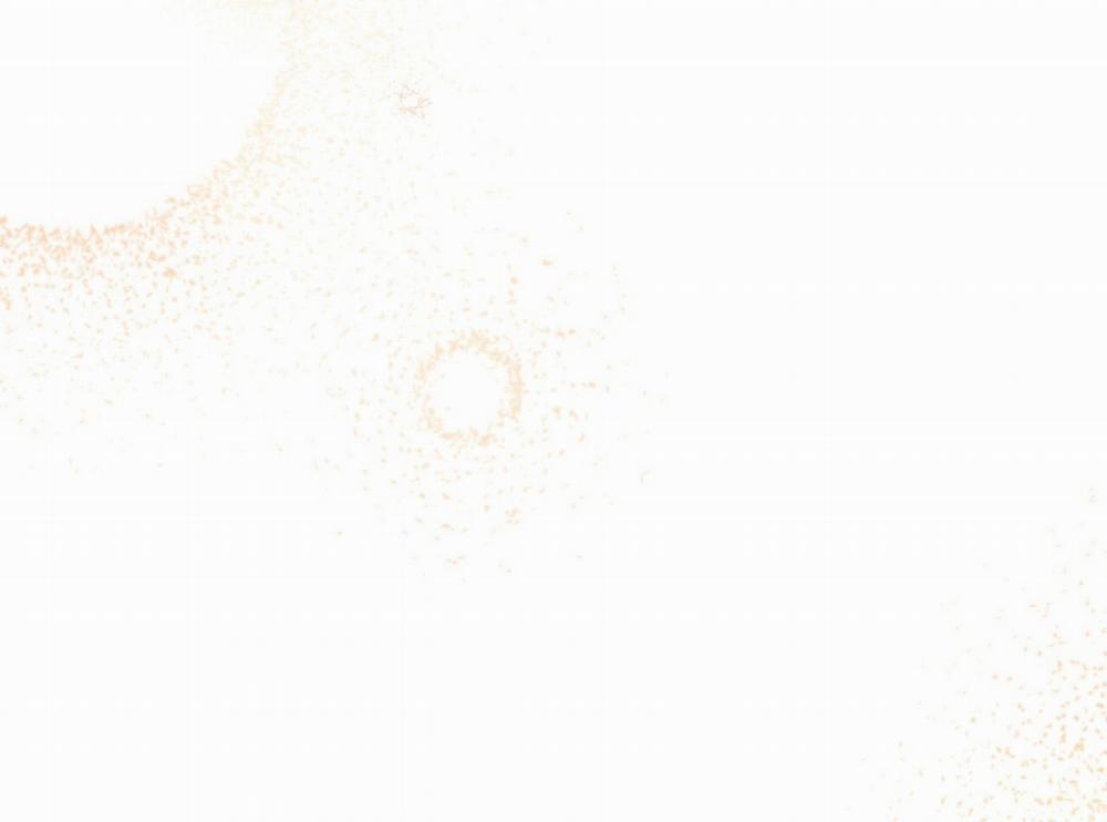 Những Chú Thỏ Của Hapypy 2 trang 165