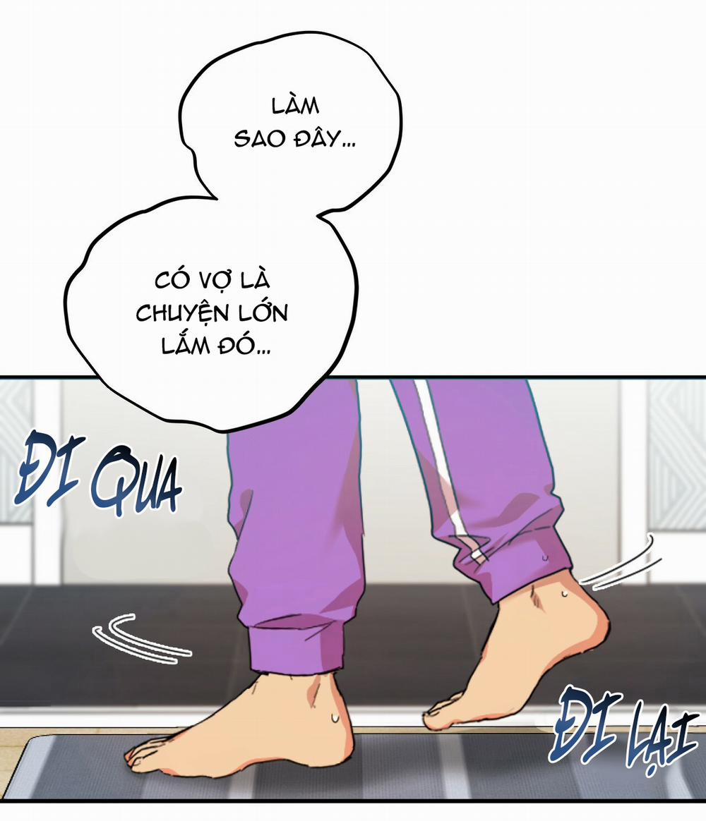 Những Chú Thỏ Của Hapypy 2 trang 2