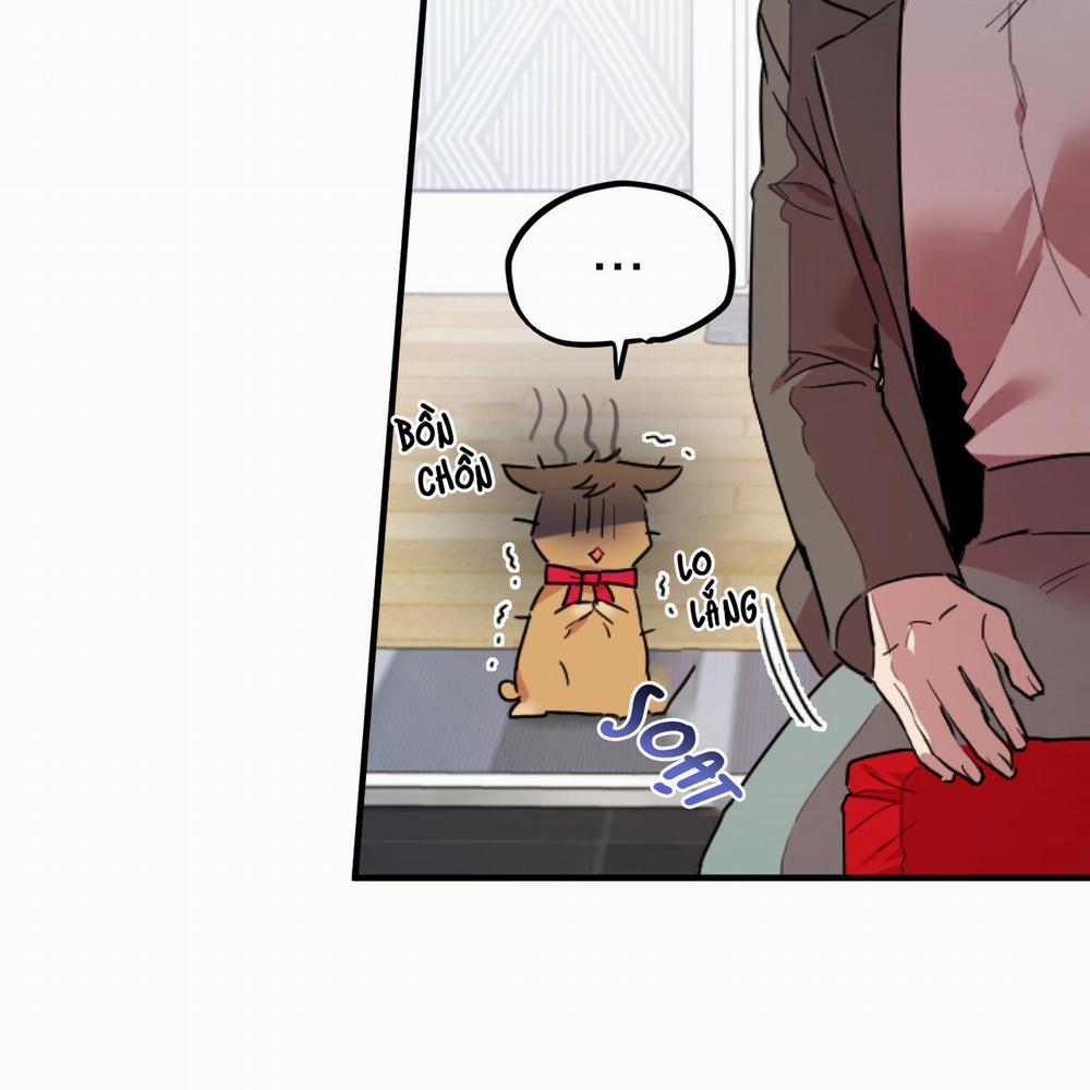 Những Chú Thỏ Của Hapypy 2 trang 24