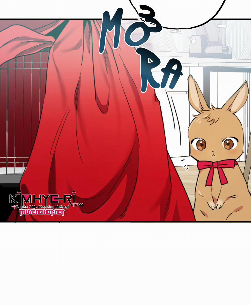 Những Chú Thỏ Của Hapypy 2 trang 29