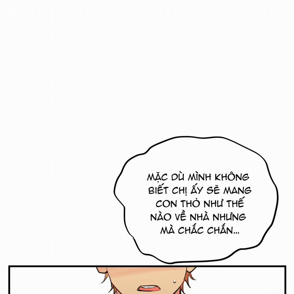 Những Chú Thỏ Của Hapypy 2 trang 3