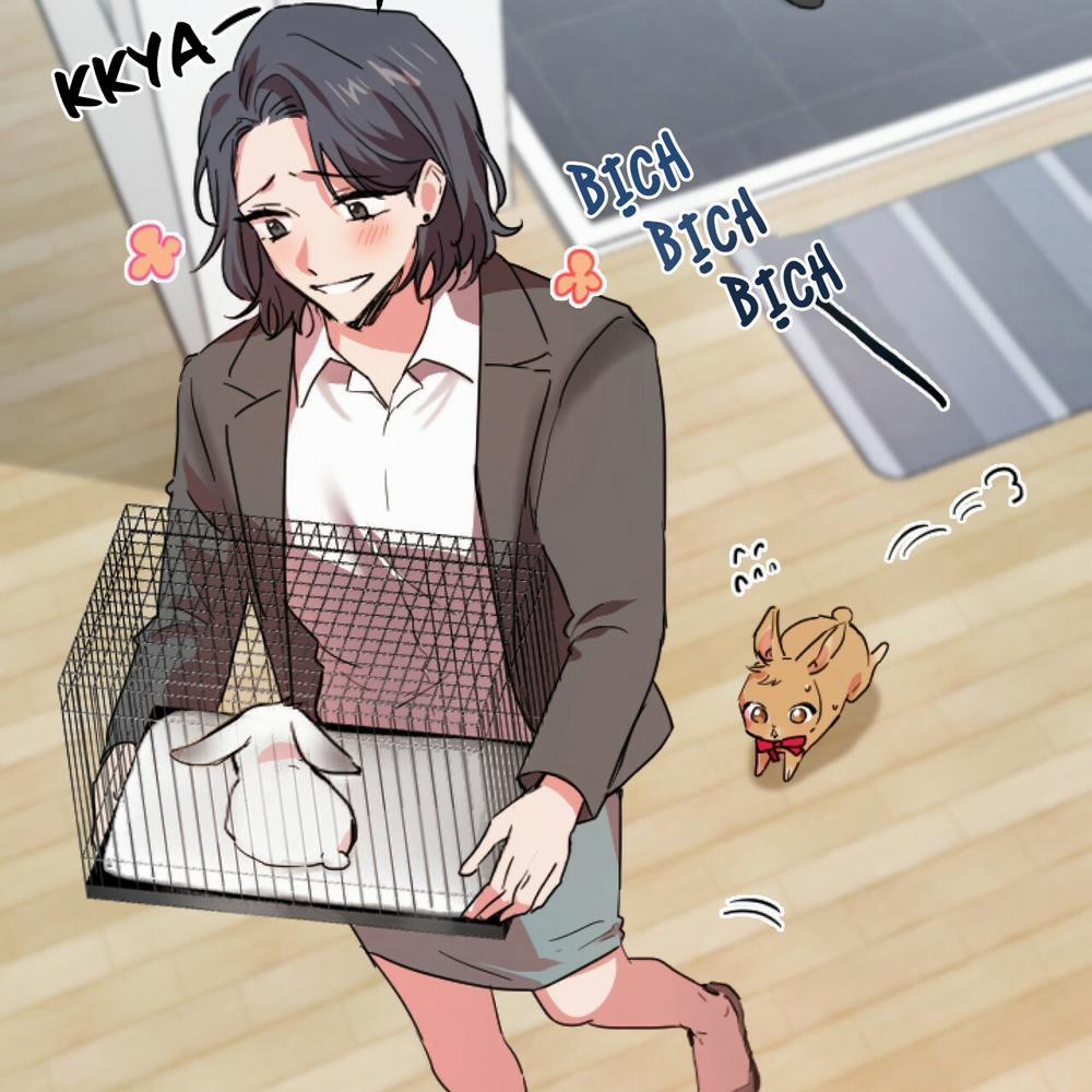 Những Chú Thỏ Của Hapypy 2 trang 35