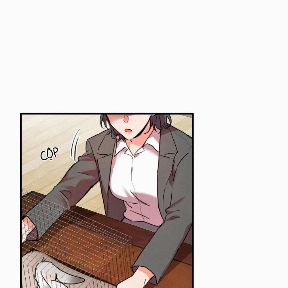 Những Chú Thỏ Của Hapypy 2 trang 37