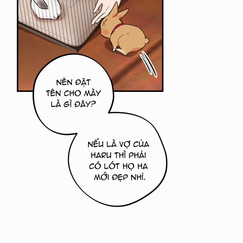 Những Chú Thỏ Của Hapypy 2 trang 38