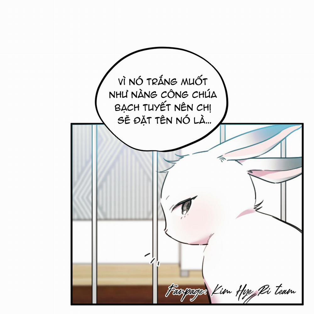 Những Chú Thỏ Của Hapypy 2 trang 41