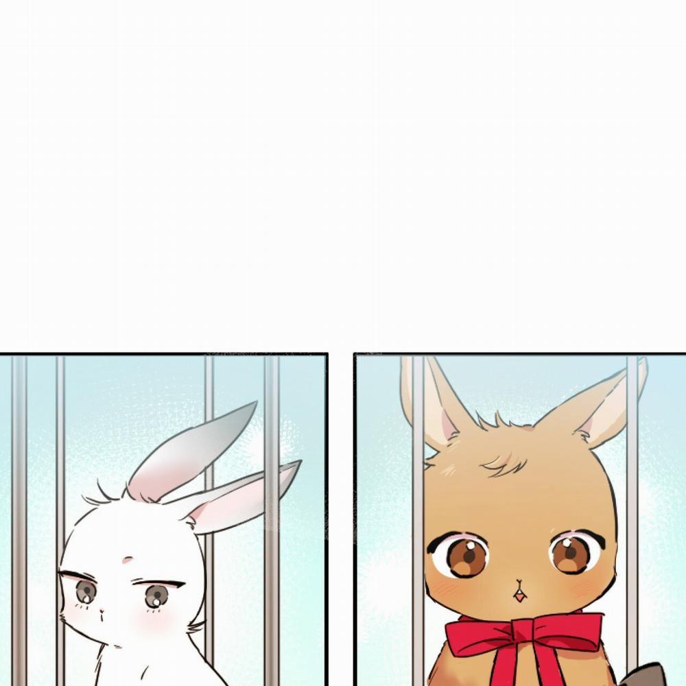 Những Chú Thỏ Của Hapypy 2 trang 42