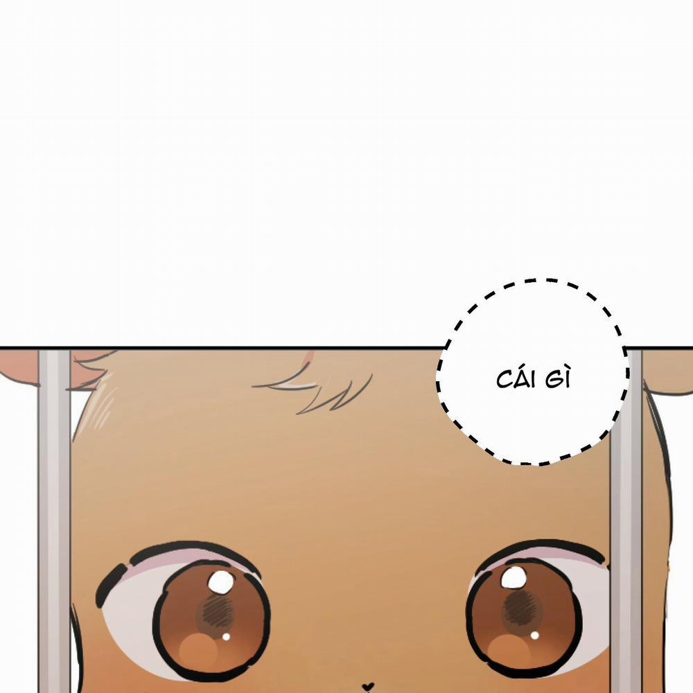 Những Chú Thỏ Của Hapypy 2 trang 46