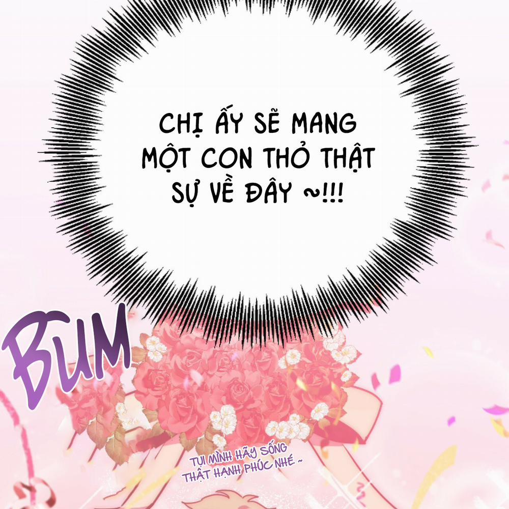 Những Chú Thỏ Của Hapypy 2 trang 5