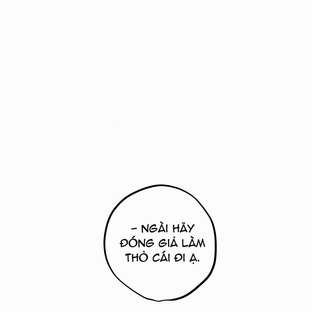 Những Chú Thỏ Của Hapypy 2 trang 51