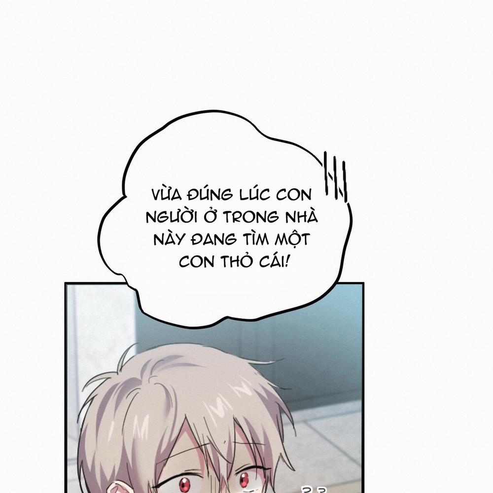 Những Chú Thỏ Của Hapypy 2 trang 56