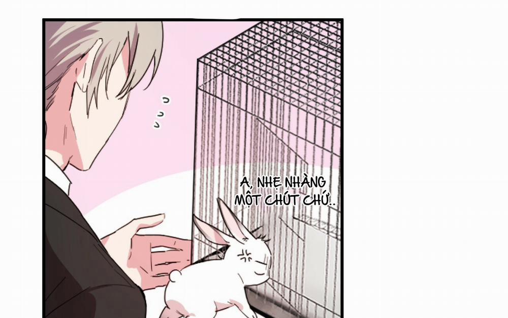 Những Chú Thỏ Của Hapypy 2 trang 66