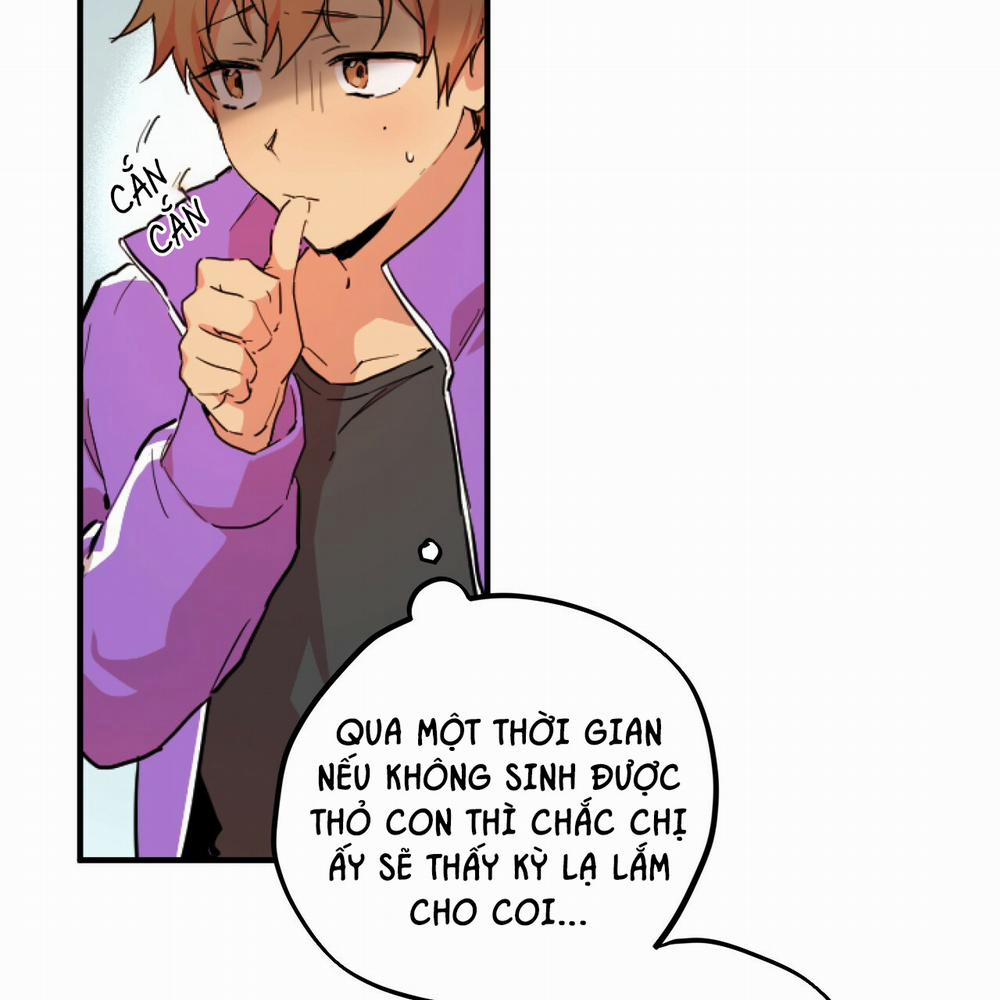 Những Chú Thỏ Của Hapypy 2 trang 8