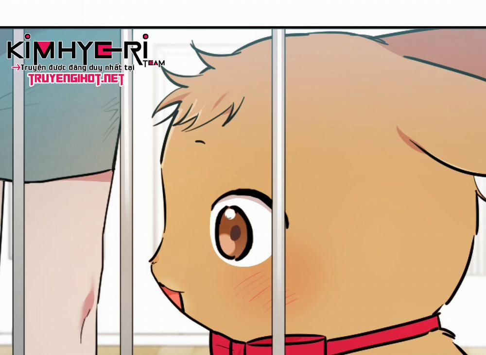 Những Chú Thỏ Của Hapypy 2 trang 80