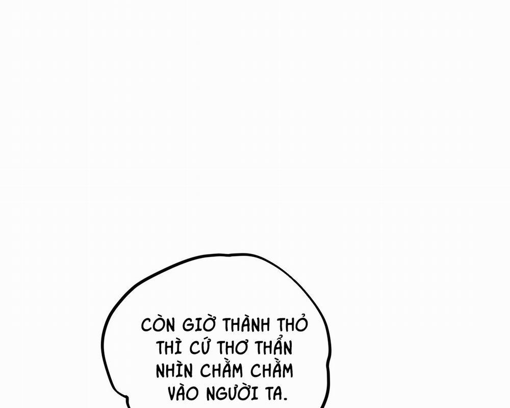 Những Chú Thỏ Của Hapypy 2 trang 88