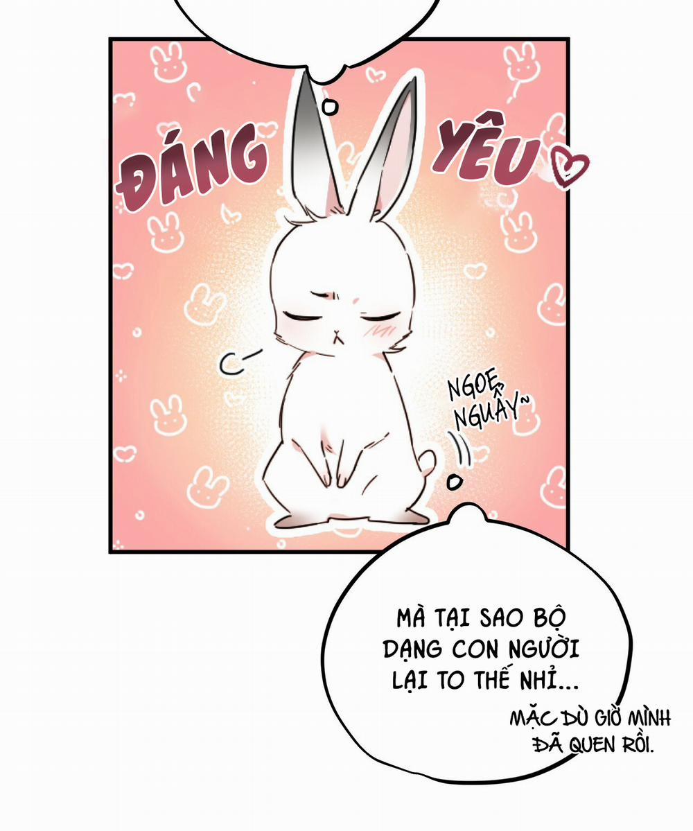 Những Chú Thỏ Của Hapypy 2 trang 89