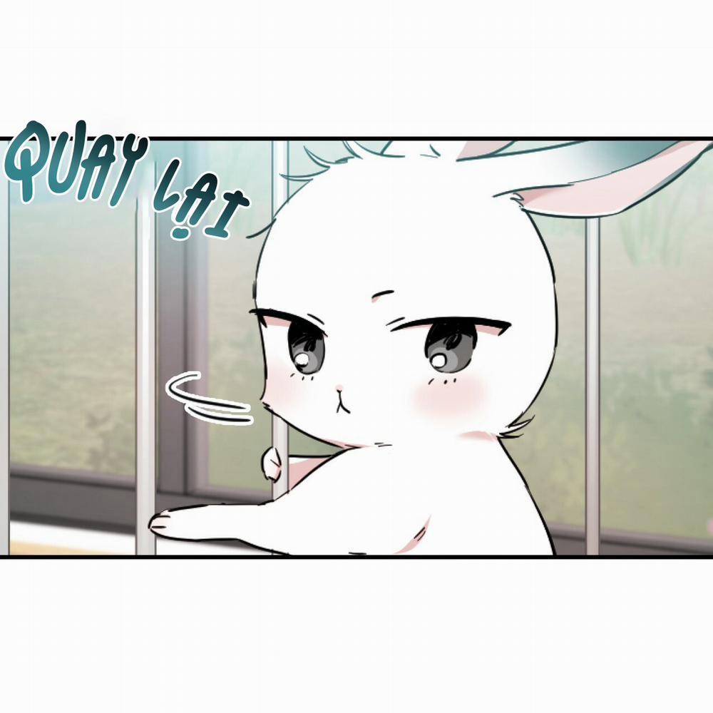 Những Chú Thỏ Của Hapypy 2 trang 92