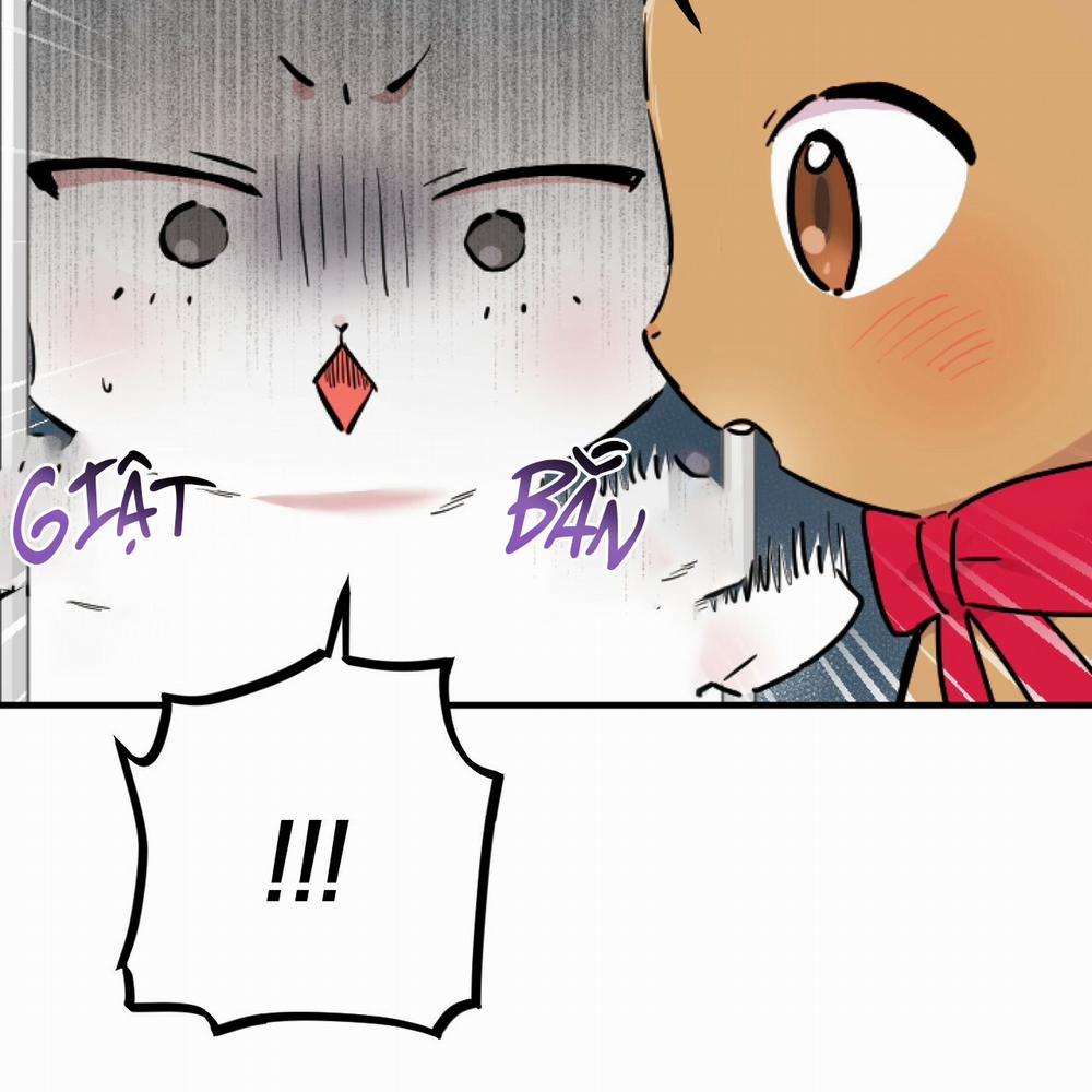 Những Chú Thỏ Của Hapypy 2 trang 97