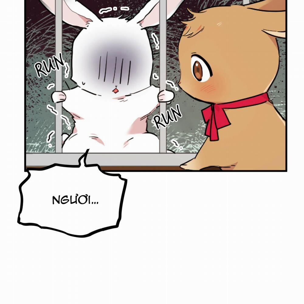 Những Chú Thỏ Của Hapypy 2 trang 99