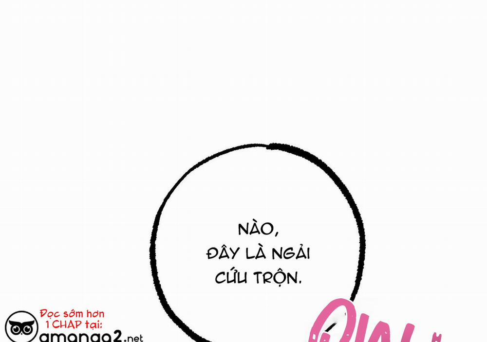 Những Chú Thỏ Của Hapypy 20 trang 1