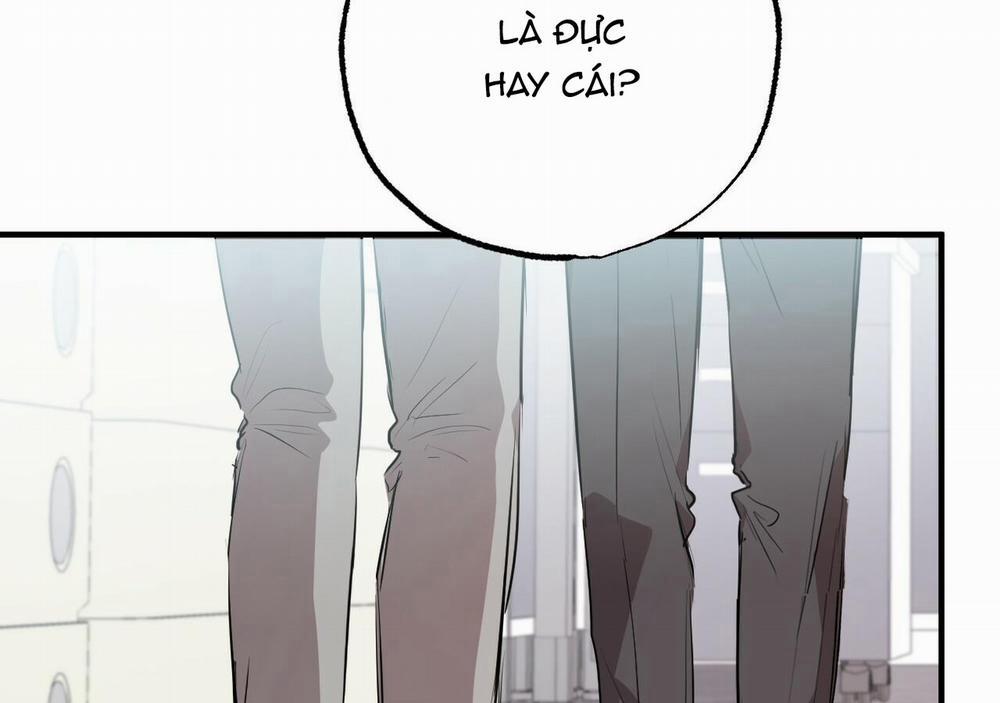 Những Chú Thỏ Của Hapypy 20 trang 132