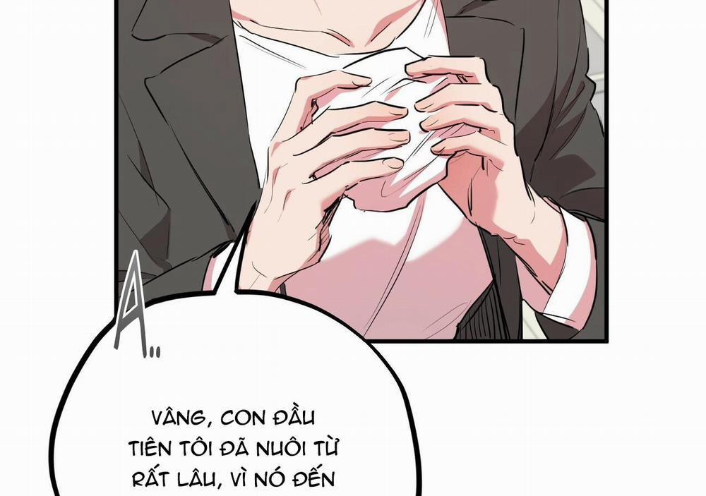 Những Chú Thỏ Của Hapypy 20 trang 137