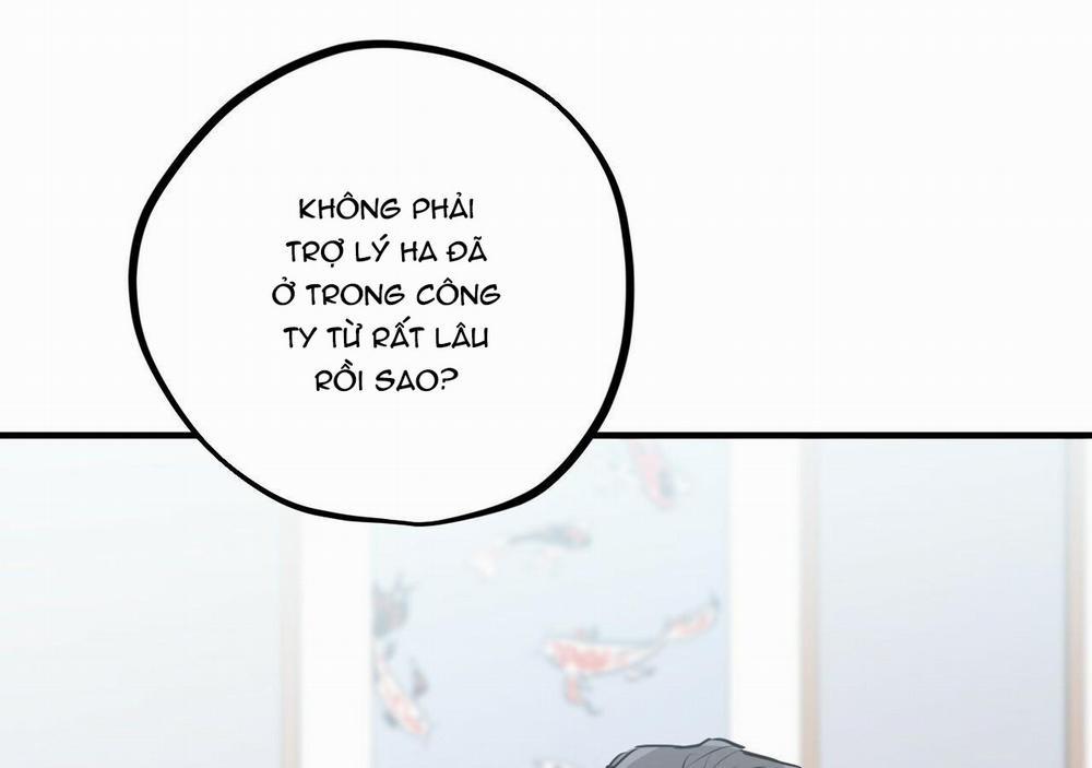 Những Chú Thỏ Của Hapypy 20 trang 151