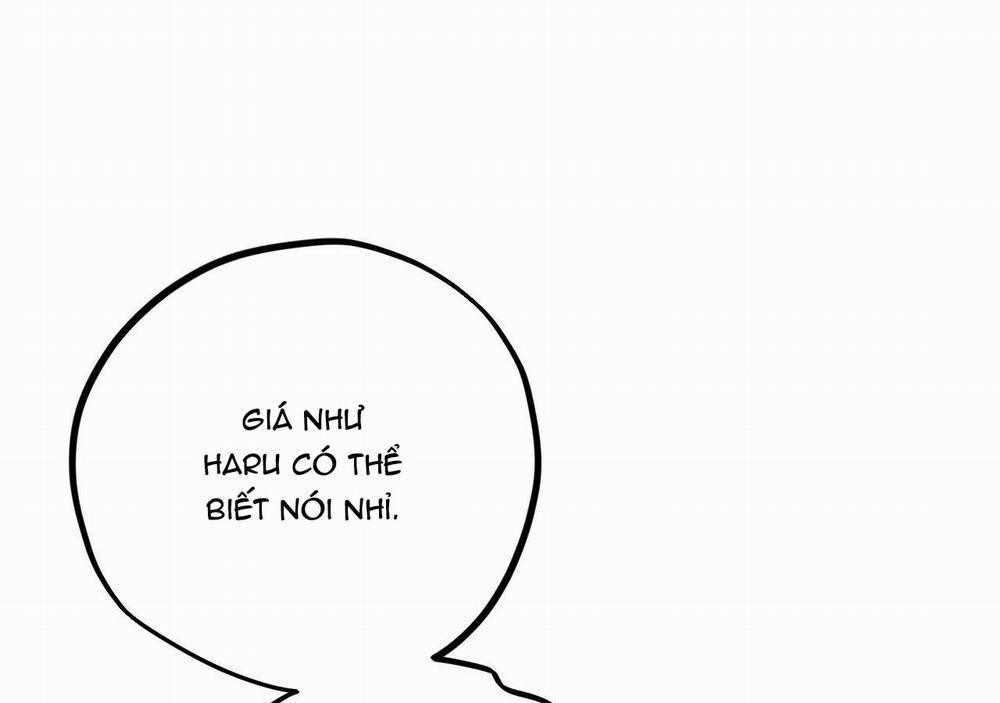 Những Chú Thỏ Của Hapypy 20 trang 237